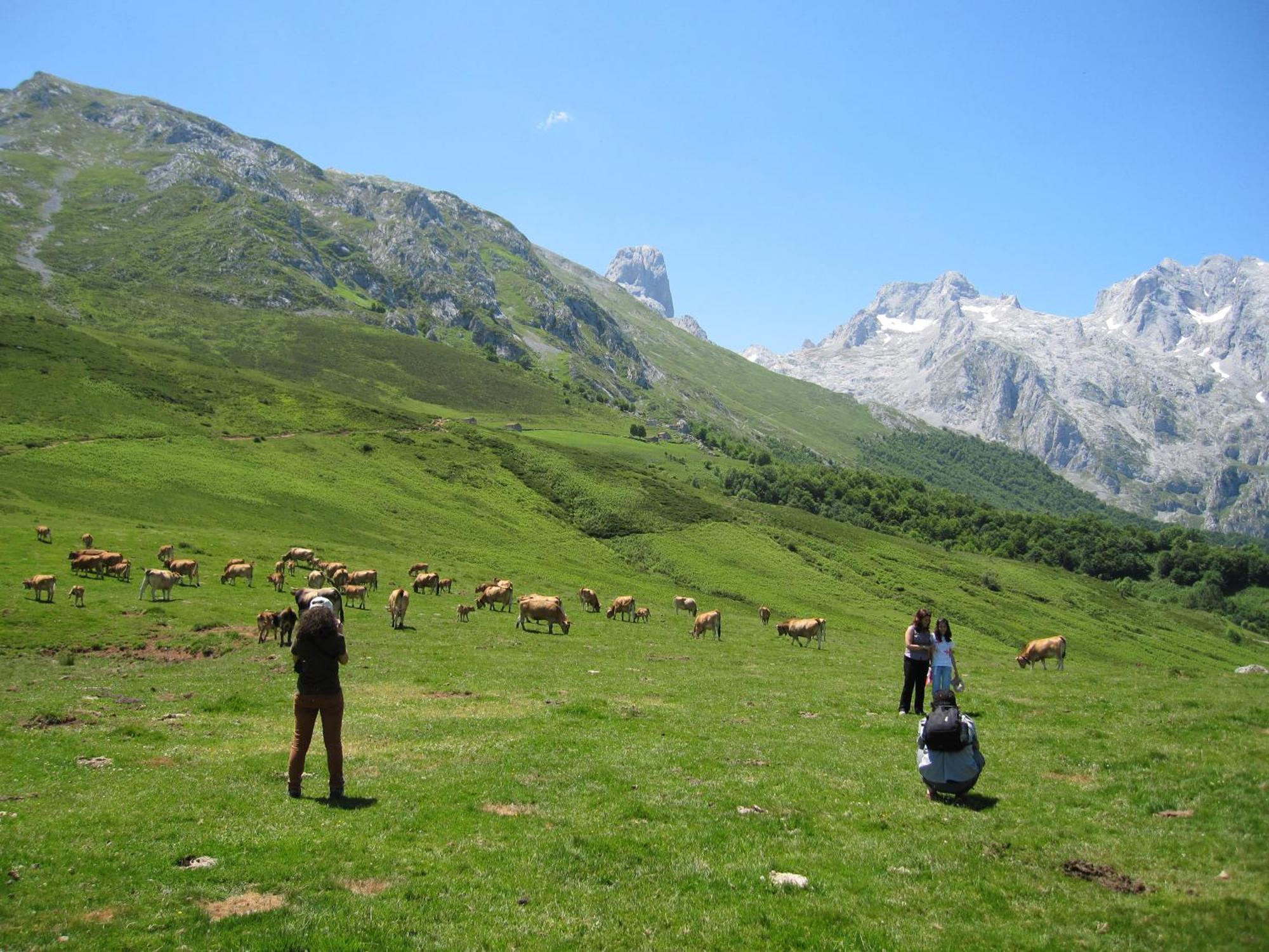Hosteria Picos De Europa Потес Екстериор снимка